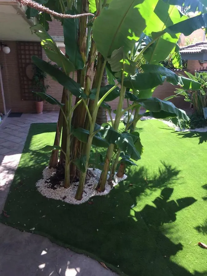 Pensjonat Hotel Fiumicino A57 Banano