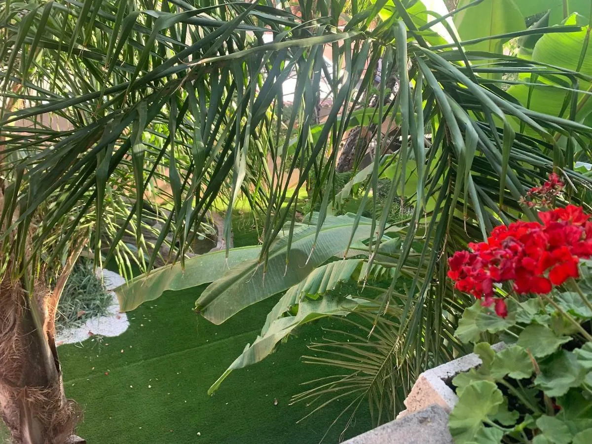 Pensjonat Hotel Fiumicino A57 Banano